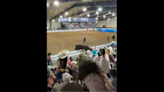 Bull escapes pen at Florida rodeo and enters bleachers. See how one cowboy stepped up