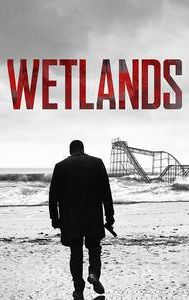 Wetlands (2017 film)