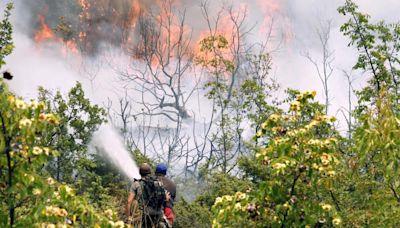 Heatwaves strain power grids in southern and eastern Europe, fuel wildfires