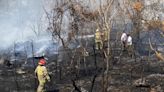 Guadalajara: Se incendia corralón del IJAS en Huentitán