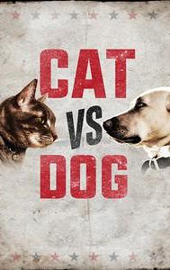 Cat vs. Dog