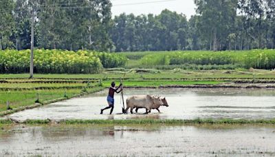 Budget 2024 signals rigour in farm policymaking, govt openness to align with states on reforms