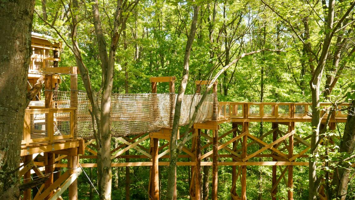 New treetop canopy walk opens at Blacklick Woods Metro Park