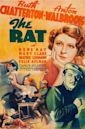 The Rat (1937 film)