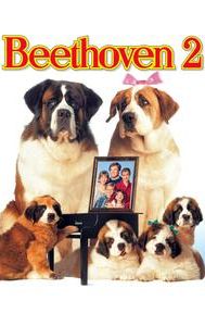 Beethoven's 2nd (film)