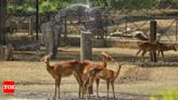 Delhi Zoo implements ayurvedic methods to safeguard animals during monsoon | India News - Times of India