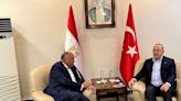 Top Turkish diplomat to visit Egypt after a decade of tension