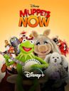 Muppets Now