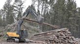 Interfor cutting back lumber production in B.C. and elsewhere