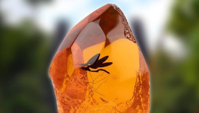 Jurassic Park’s DNA storage becomes a reality thanks to Amber breakthrough - Dexerto