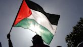 Palestina valora que Chile se sume denuncia contra Israel en la CIJ: “Subraya la profunda solidaridad y amistad histórica entre ambos países” - La Tercera