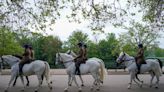 Cavalos da família real britânica fogem e machucam pessoas em Londres