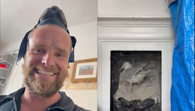 Chimney sweep captures moment ‘rambunctious’ seagull falls from an old flue