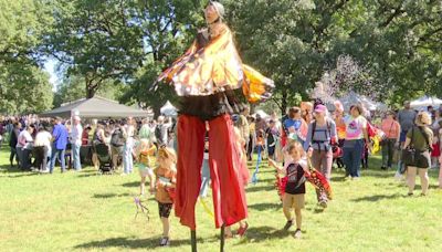 Monarch festival celebrates spectacular migration; but the iconic butterflies numbers are down