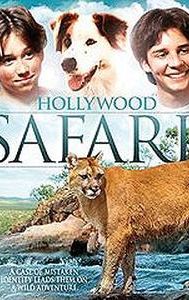 Hollywood Safari