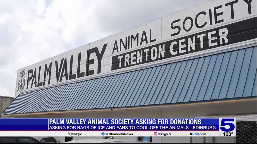Palm Valley Animal Society seeking donations to help keep animals cool
