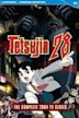 Tetsujin 28-go (2004 TV series)