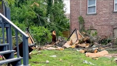 Lamentan muerte de hombre mexicano que fue golpeado por un árbol durante una tormenta en NJ