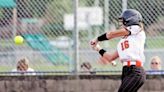 Lady Fighting Tigers fall in district finals on walk-off HR - The Tribune