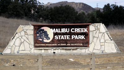 Family picnic at Los Angeles park takes a terrifying turn when mountain lion attacks child