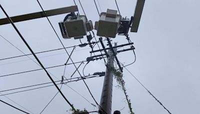 強風陣陣電線斷路樹倒 台中陸續傳小災情