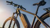 Minnesota blames Turnberry Solutions, Salesforce for e-bike rebate site crash - Minneapolis / St. Paul Business Journal