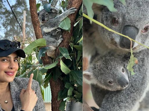 Priyanka Chopra Jonas Delighted By Koala Named After Her In Australia