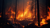 Calor extremo en California: así puedes evitar incendios forestales