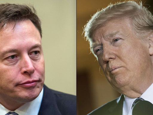 Tesla stock in flux as Musk's Trump support and robotaxi delay whipsaw shares