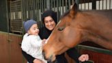 Horse charity's summer programme features pony petting and more