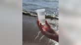 Lake Erie beach water testing resumes by Monroe County Health Department