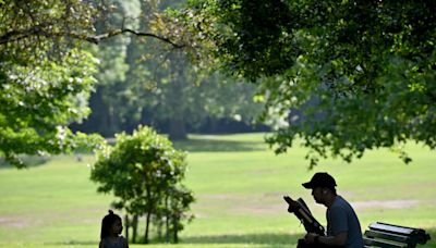 Yellow heat alert issued for West Midlands and Shropshire