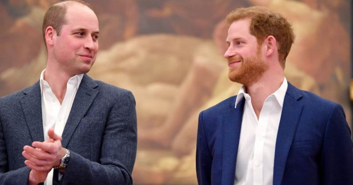 Harry bemused feud with William hasn't ended as he thought they'd have made up