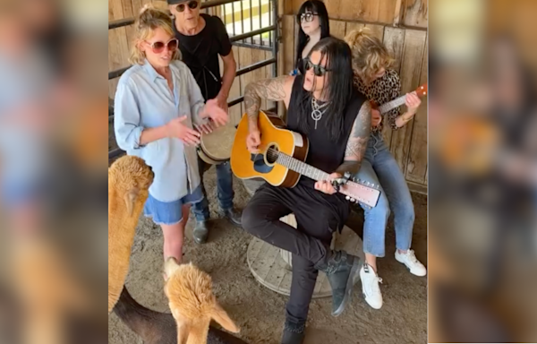 Kevin Bacon & Family Put On Another Barnyard Concert, Serenade Llamas With 90s Hit