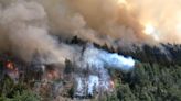 Alerta en El Bolsón: un hombre fue detenido por su presunta vinculación con el incendio forestal