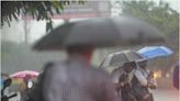 Andhra Pradesh Rains: Thunderstorms Predicted for Parts of State Between These Days