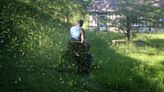 ‘No mow month’ Nonprofit urges Nashvillians to not mow until May