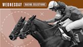 Horse racing tips: York – Wednesday May 15