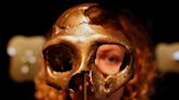 Humans and Neanderthals only had sex for a brief period, but it still fundamentally changed our DNA