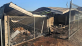 Superintendent: Investigators making progress on baseball field arson - WV MetroNews