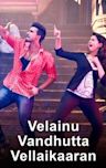 Velainu Vandhutta Vellaikaaran