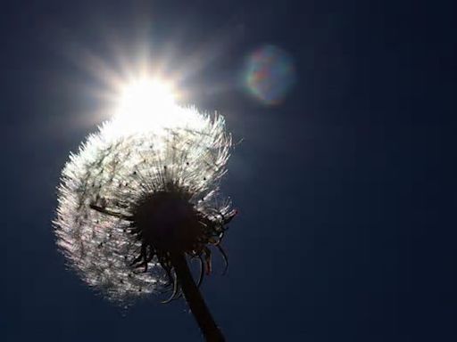 Warmer April-Abschied: Bis zu 28,3 Grad in Sachsen-Anhalt