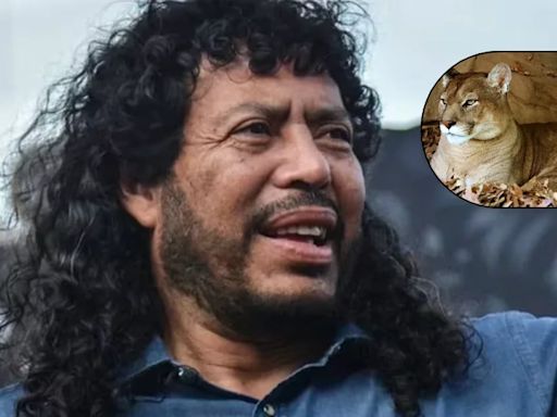 René Higuita veló para que no sacrificaran dos pumas en Antioquia: esta es la historia