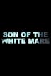 The Son of the White Mare