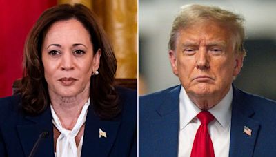 La vicepresidenta de EE.UU. Kamala Harris gana terreno como posible relevo de Joe Biden