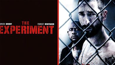 The Experiment (2010 film)