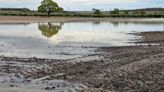 Farmer fears worst for spring barley after deluge - Farmers Weekly