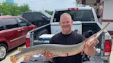 Genetic testing proves state record fish caught on Lake of the Ozarks was shortnose gar