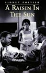 A Raisin in the Sun (1961 film)