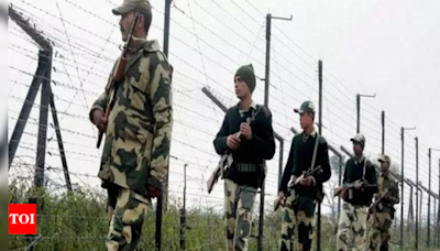 Pak intruder shot dead near border in Fazilka | Amritsar News - Times of India